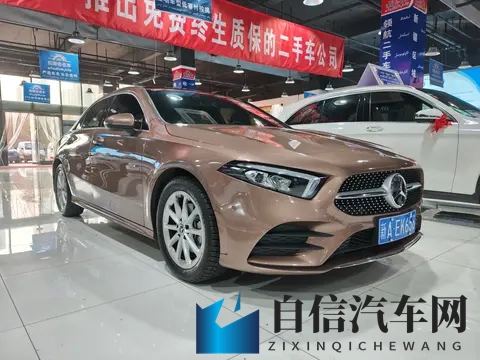 BBC FUCK Chinese异族黑人：新能源汽车崛起，未来市场潜力巨大-1