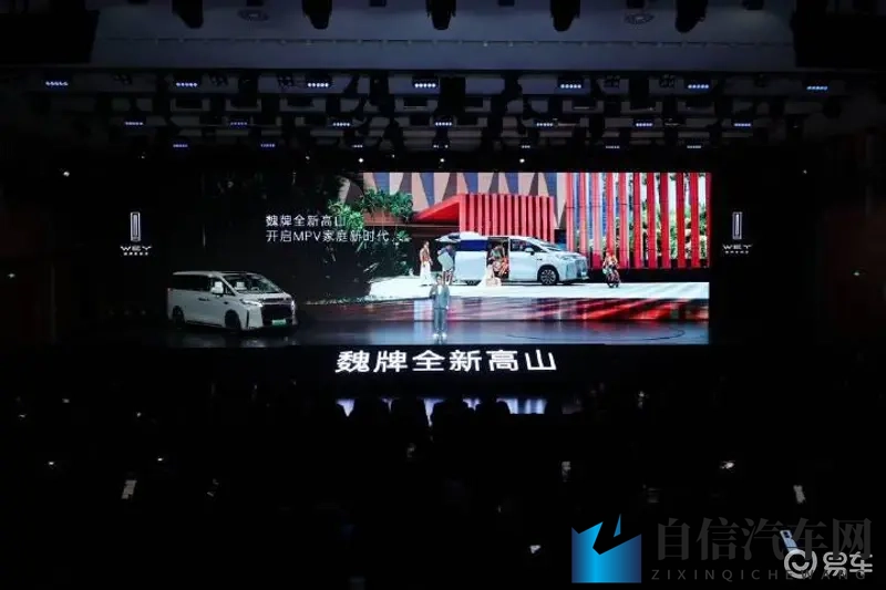 大菠萝官方官网2025新款：潮流SUV新秀，性能与颜值并存-1