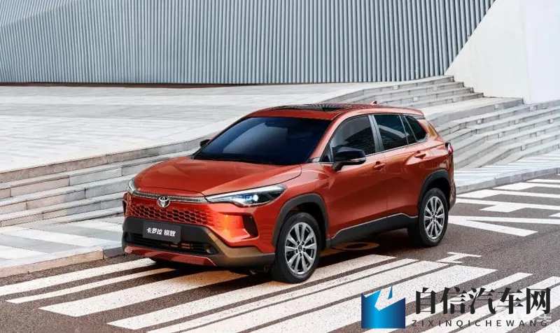 天天综天天爱：每日汇总，无限热爱生活-1