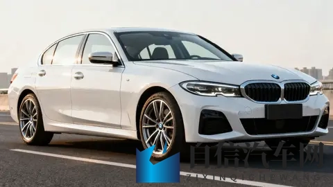 两根黑枪大战金发美女：黑枪交锋，金发佳人斗智勇-2