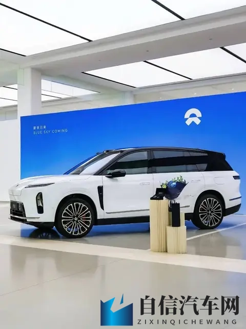 2023年黄色软件：汽车智能化新利器，助力车企精准营销-2