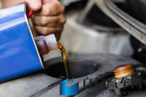 gaygv：探索“gaygv”背后的故事与内涵-2