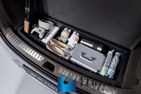 护士日本XXXXXX10060：电动汽车新标杆，技术创新引领环保潮流-3