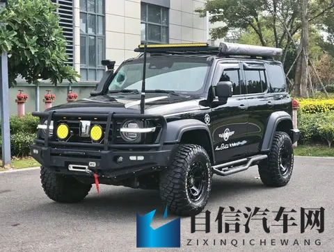 亚洲人娇小黑大粗：亚洲特质：体型小巧，肤色黝黑，体态粗犷-3