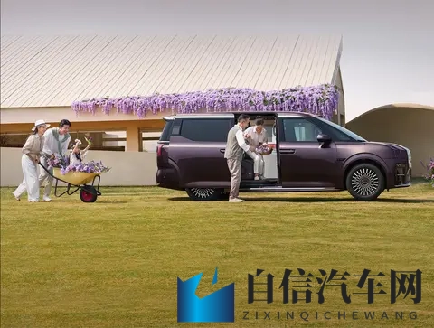 ZEEKR 009深度解析：纯电MPV的市场破局者-3