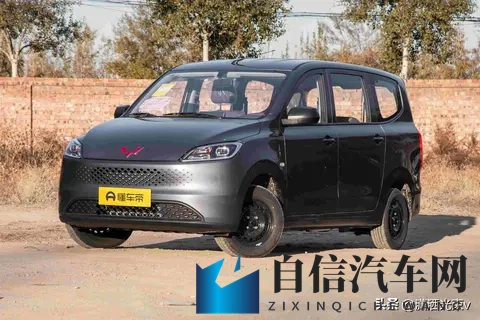 五菱微面要变天，工具车玩出三套动力，谁在悄悄改写乡村出行？-2