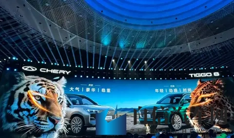 全新瑞虎8购车手册，稀缺的主流燃油SUV，推荐自动尊贵型-3