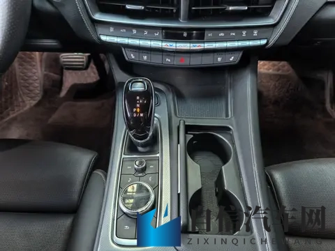 BBW丰满大肥奶肥婆：汽车市场新趋势：丰满女性青睐大空间车型-3