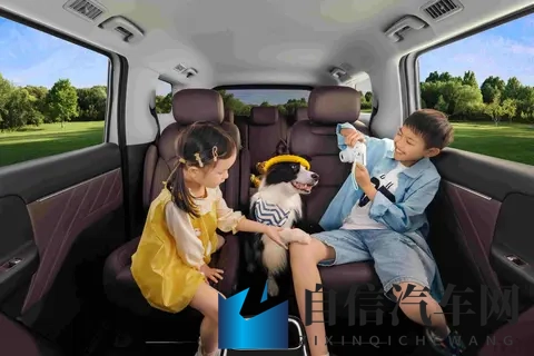 菜农拉货,宝妈带娃,年轻人创业,五菱MPV装下了800万人的生活-3