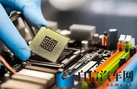 记者质问荷兰首相：你认为荷兰这做法蠢不蠢？他的回应绝了-2