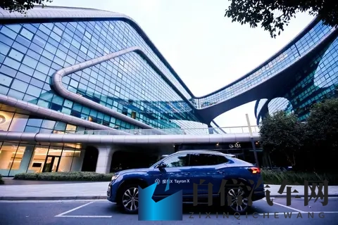 亚洲毛多水多:汽车销量激增,亚洲市场新机遇大揭秘-1