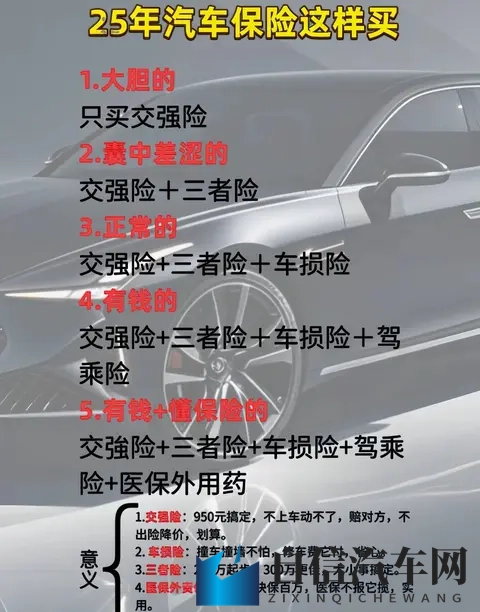 成年人视频网站：科技赋能驾驶：揭秘汽车智能化新趋势-3