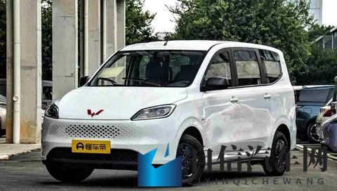 五菱又放大招?548万起的“工具车之王”来了!-2