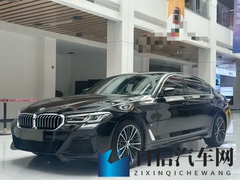 18岁禁看软件：互联网法规挑战：专业软件年龄限制影响解析-2