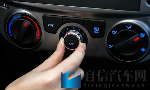 一本色道：探寻禁色之秘，一本不可多得秘籍-1