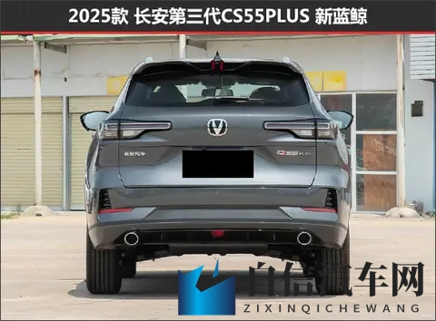 五月丁香六月婷婷久久：五月花开丁香香，六月婷婷久留芳-2