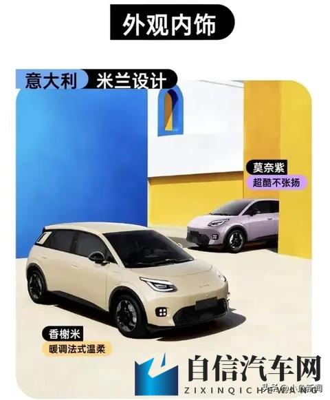 京东疯了！第一辆车4万5开走，4S店连夜开会！-3