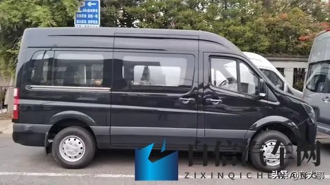 天天摸天天:每日抚摸,情感陪伴-2